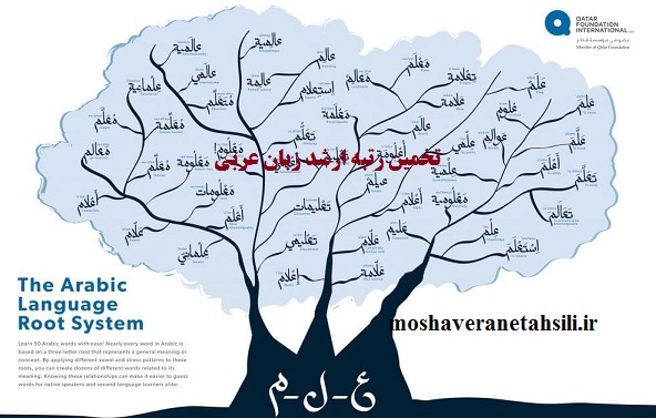 تخمین رتبه ارشد زبان عربی 1401
