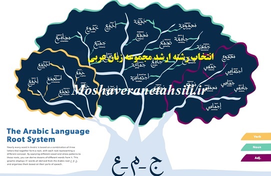 قوانین انتخاب رشته ارشد زبان عربی 1401