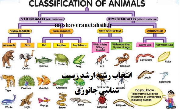 قوانین انتخاب رشته ارشد زیست شناسی جانوری 1401