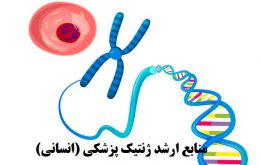 منابع ارشد ژنتیک پزشکی (انسانی) - بهترین منابع 1402
